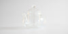Blossom Glass Teapot