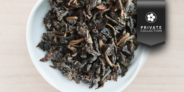 PRV_Aged_Tieguanyin_1997_1.