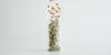 Tea Sachets
