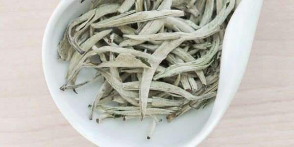White Tea Collection – Red Blossom Tea Company
