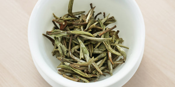 Yunnan White Needle – Red Blossom Tea Company