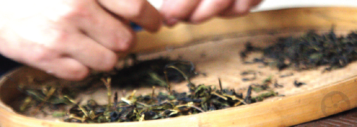 The 6 Steps of Tea Processing