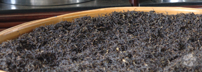 Red Tea, Black Tea, Dark Tea: Oxidation and Fermentation