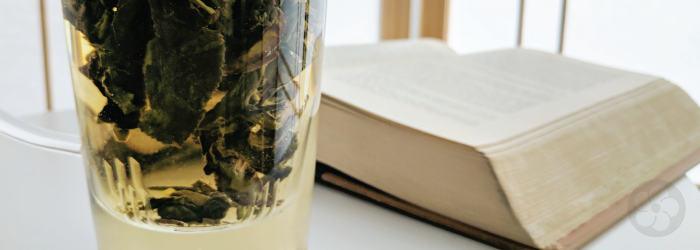 Tea and Books: The Greatest Chinese Novel You've Never Heard Of