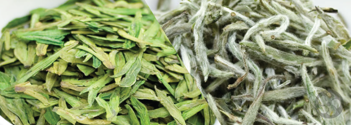 The Difference Between White and Green Teas