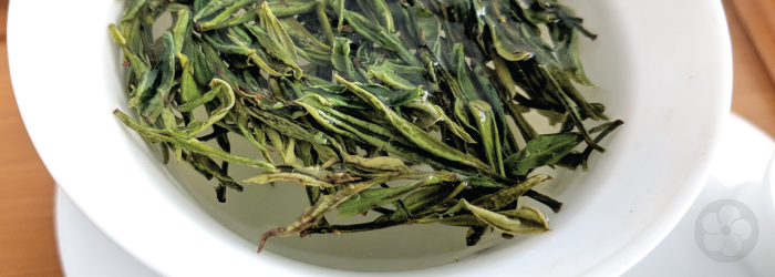 Which Green Teas Taste Best?