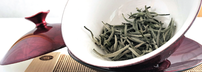 Where Does the Best White Tea Come From?