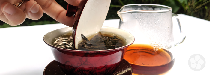 Flavors of Pure Tea: Rich Textures
