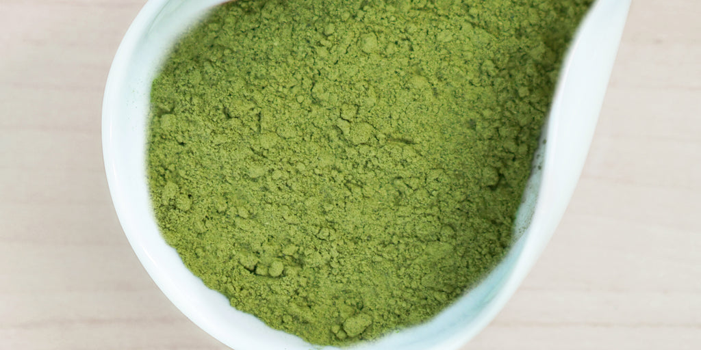 A white dish containing Formosa oolong matcha powder.