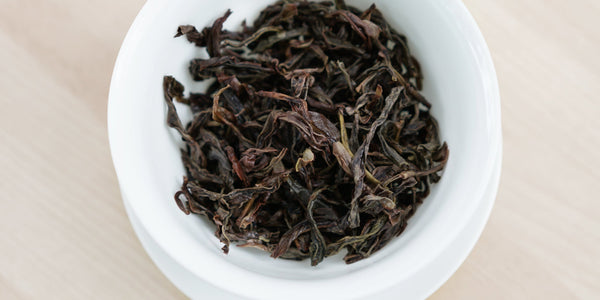 A top-down photo of brewed pu-erh tea leaves in a gaiwan.