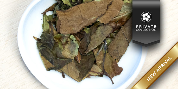 A white dish containing dry aged white tea leaves. A black ribbon in the top right corner reads “Private Collection", and a gold ribbon in the bottom right corner reads “New Arrival”