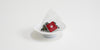 A triangular tea bag with a red label sits on a white dish.