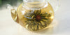 A glass teapot with a flower of tea leaves blooming inside as it brews with a pink center