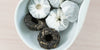 A white dish containing tuos of pu-erh tea wrapped in white paper.