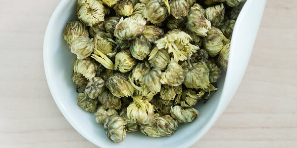 Chrysanthemum Buds