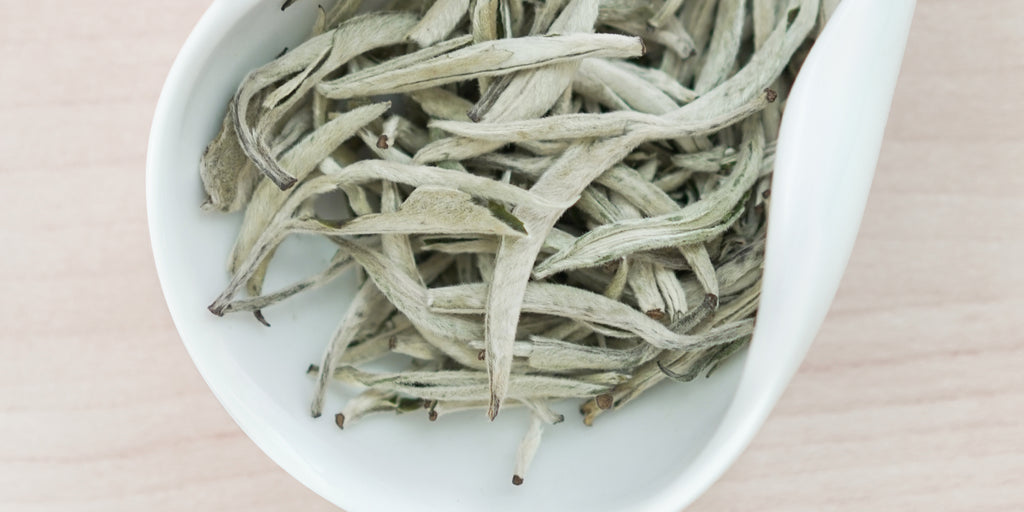 A white dish containing dry jasmine tea leaves.