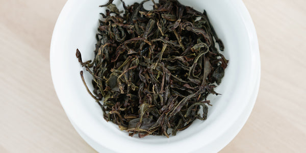 A top-down photo of brewed Phoenix oolong tea leaves in a gaiwan.